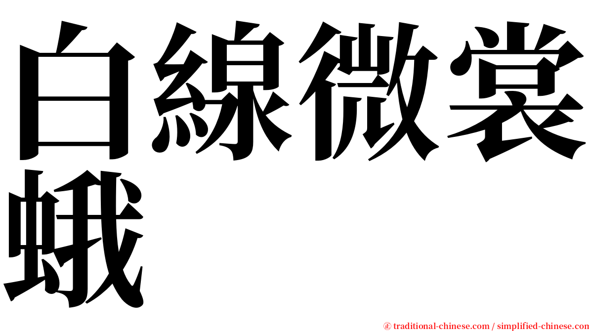 白線微裳蛾 serif font