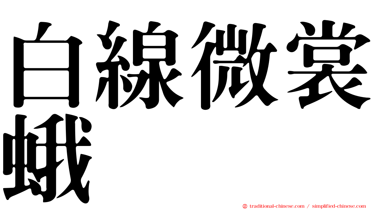 白線微裳蛾