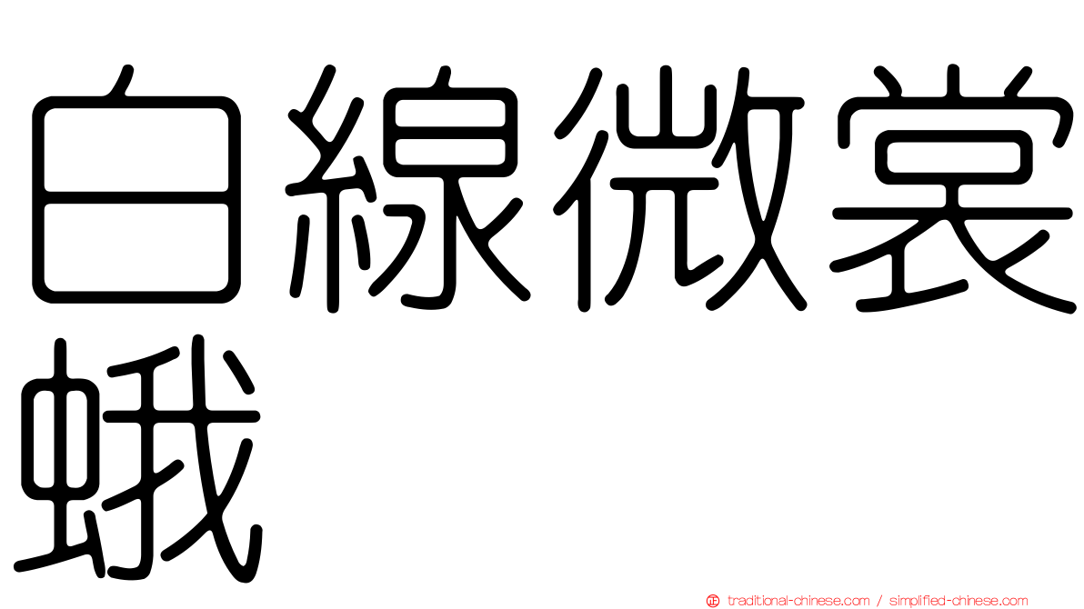 白線微裳蛾