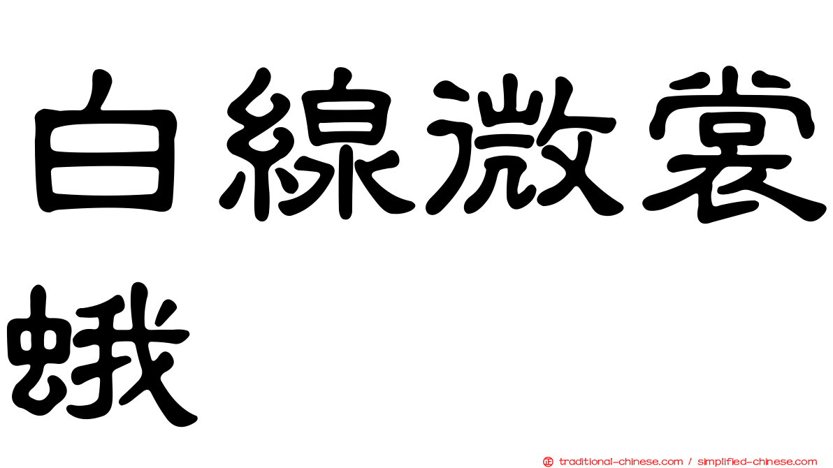 白線微裳蛾