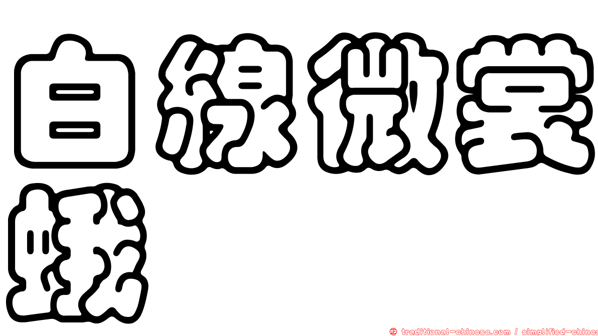 白線微裳蛾