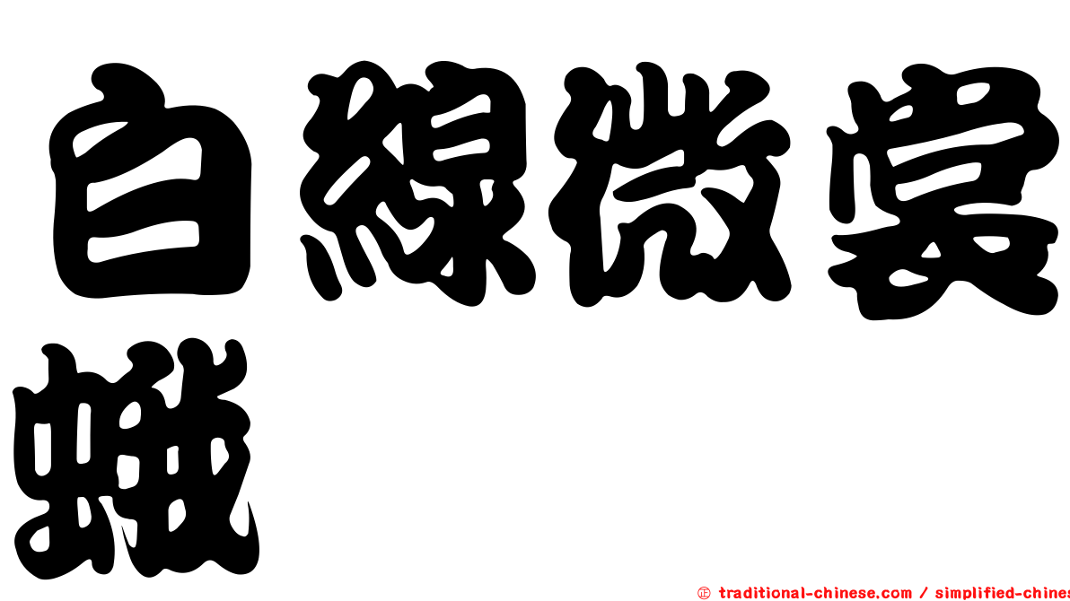 白線微裳蛾