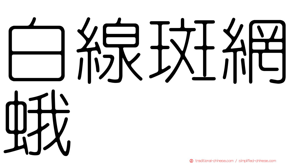 白線斑網蛾