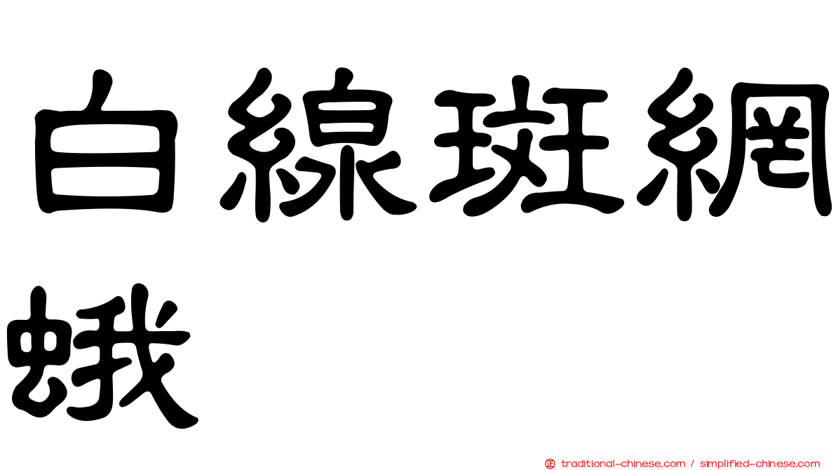 白線斑網蛾