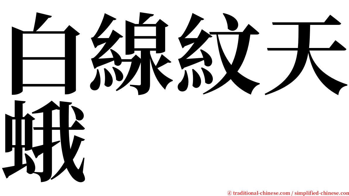 白線紋天蛾 serif font