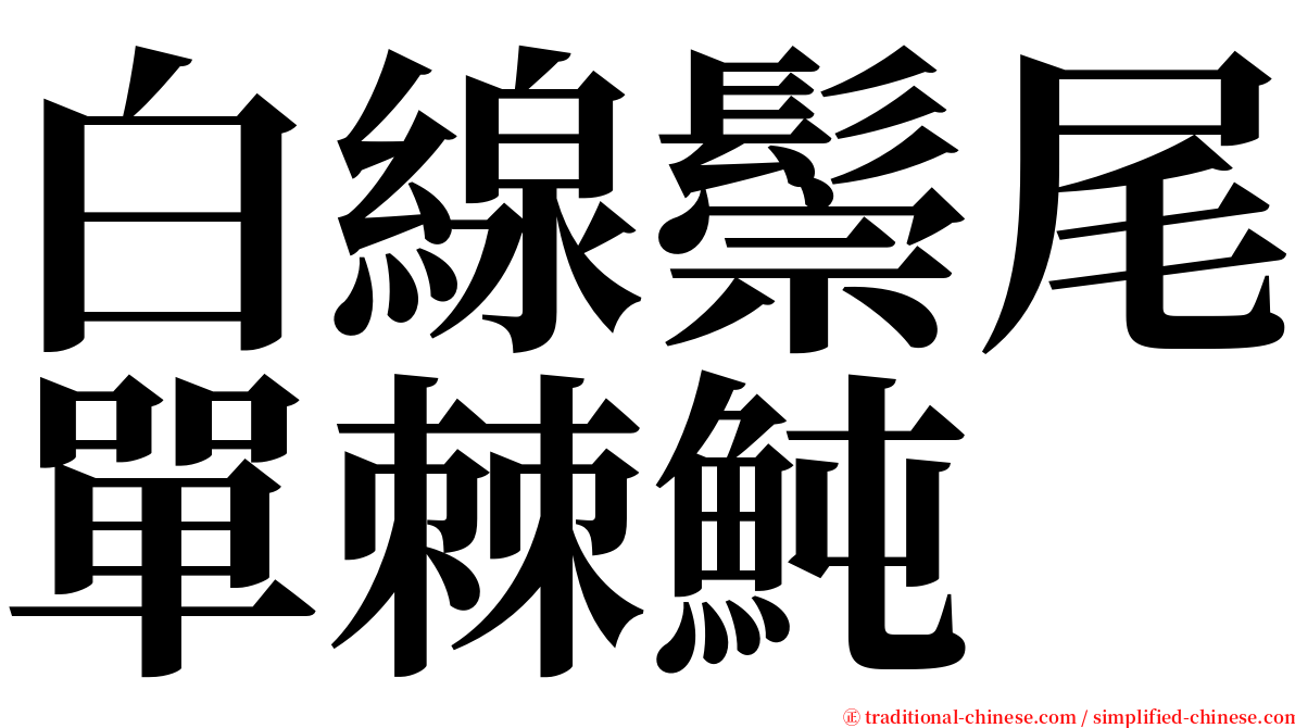 白線鬃尾單棘魨 serif font