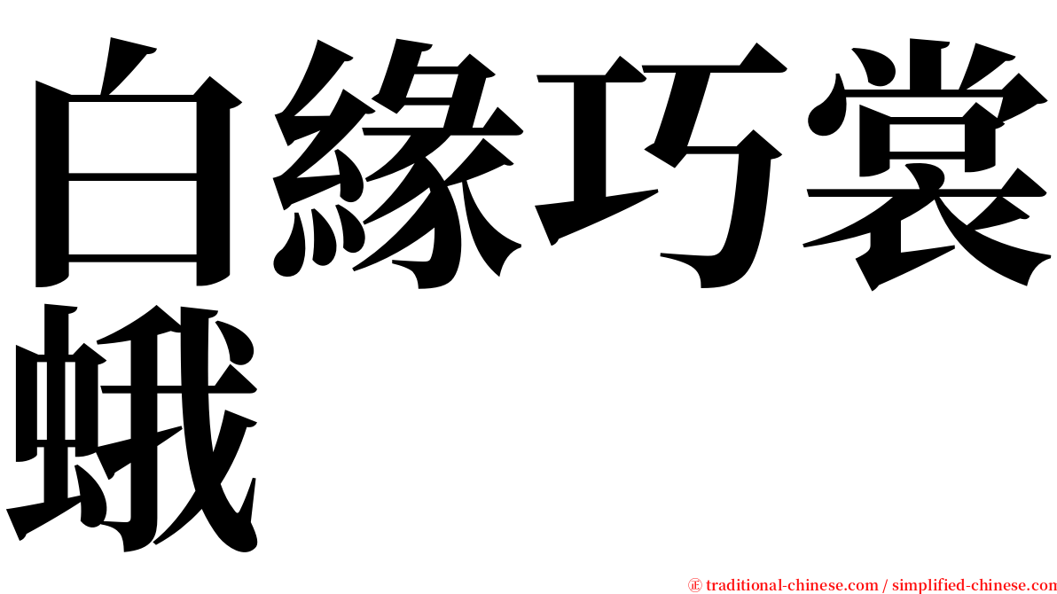 白緣巧裳蛾 serif font