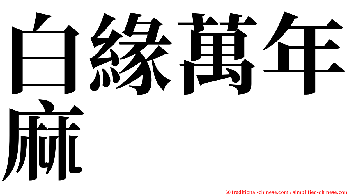 白緣萬年麻 serif font