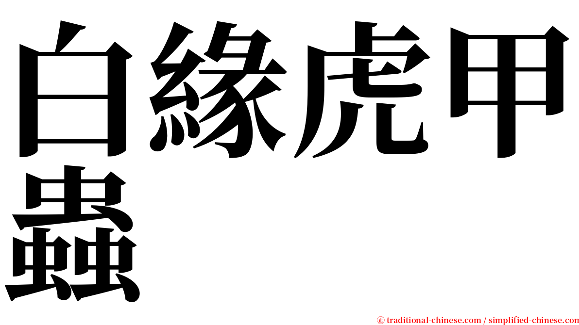 白緣虎甲蟲 serif font