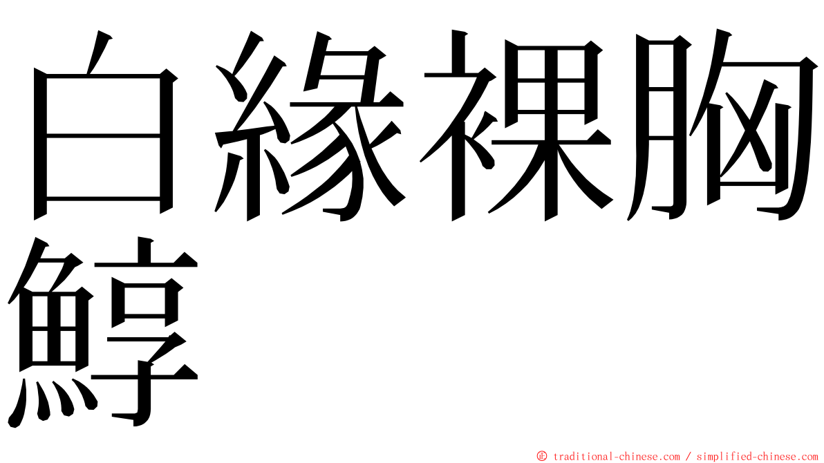 白緣裸胸鯙 ming font