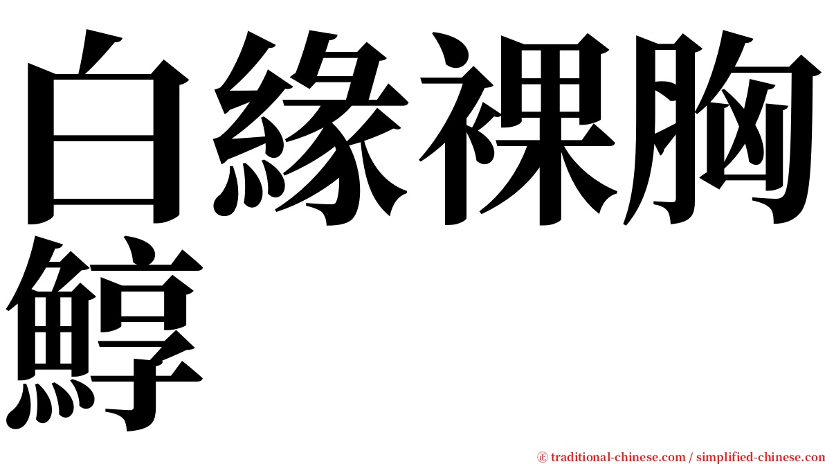 白緣裸胸鯙 serif font