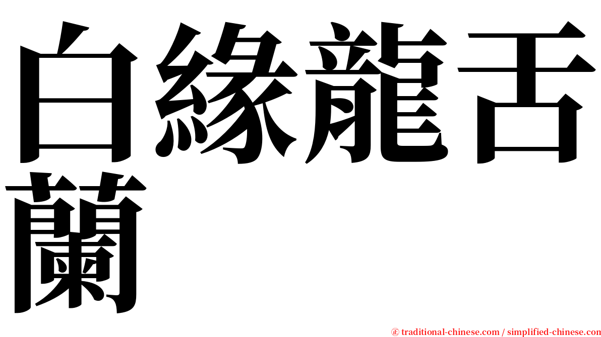 白緣龍舌蘭 serif font
