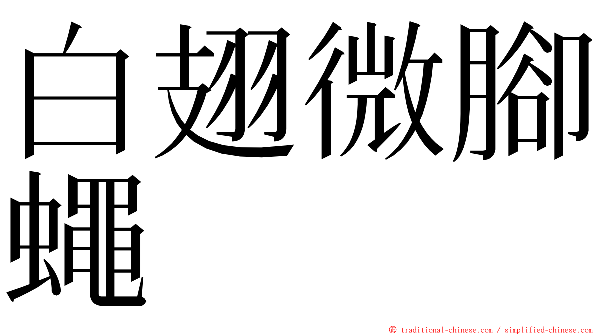 白翅微腳蠅 ming font