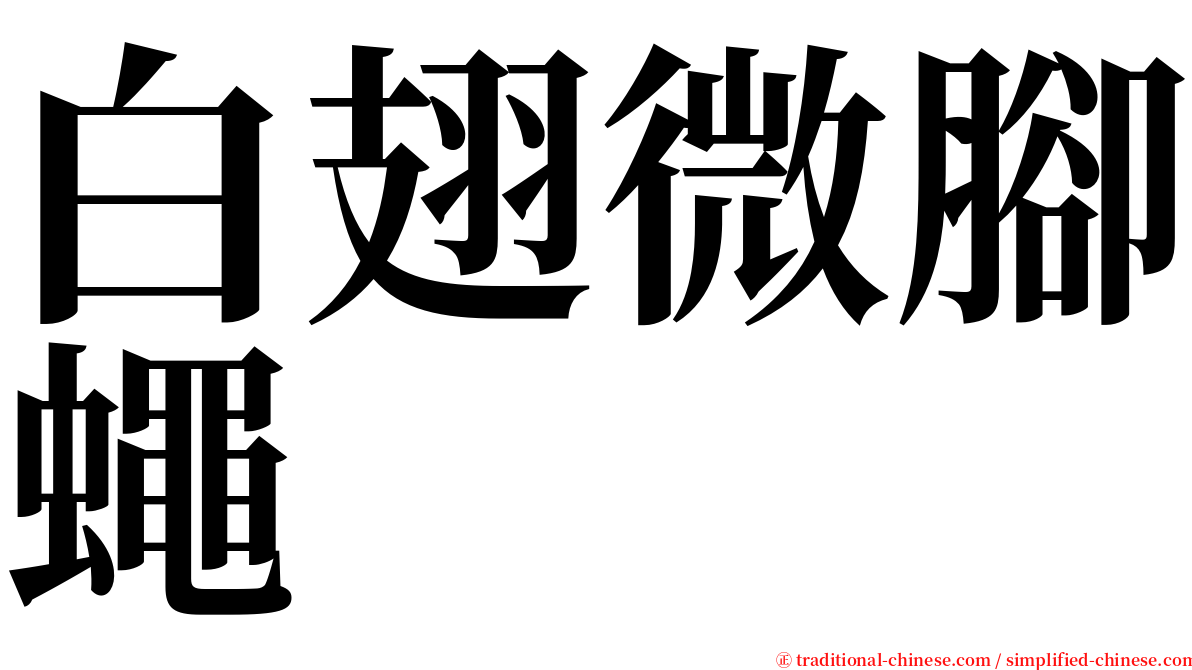 白翅微腳蠅 serif font