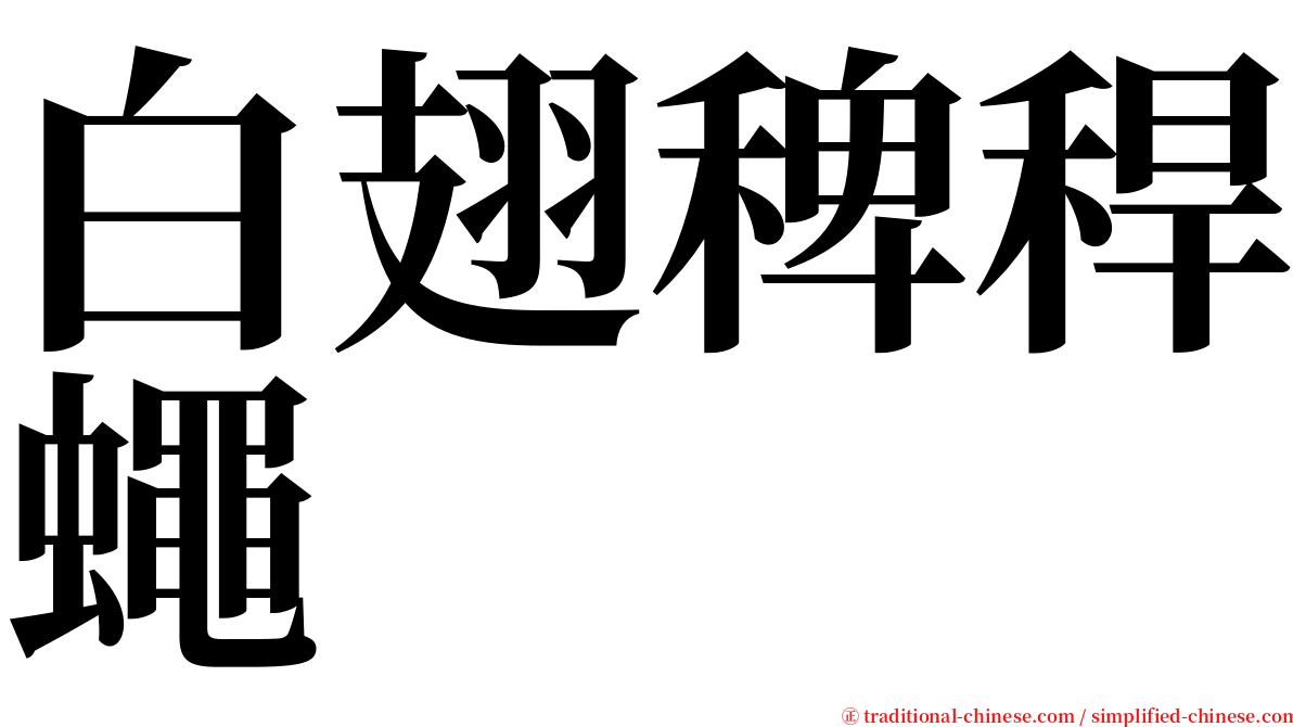 白翅稗稈蠅 serif font