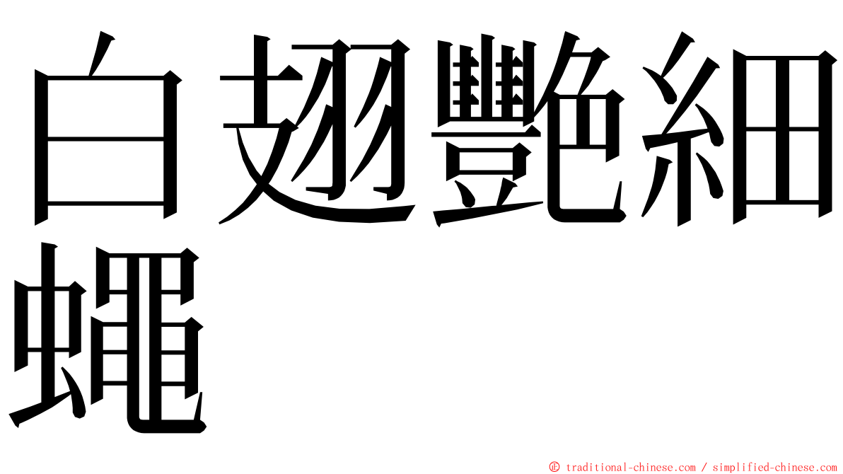 白翅艷細蠅 ming font