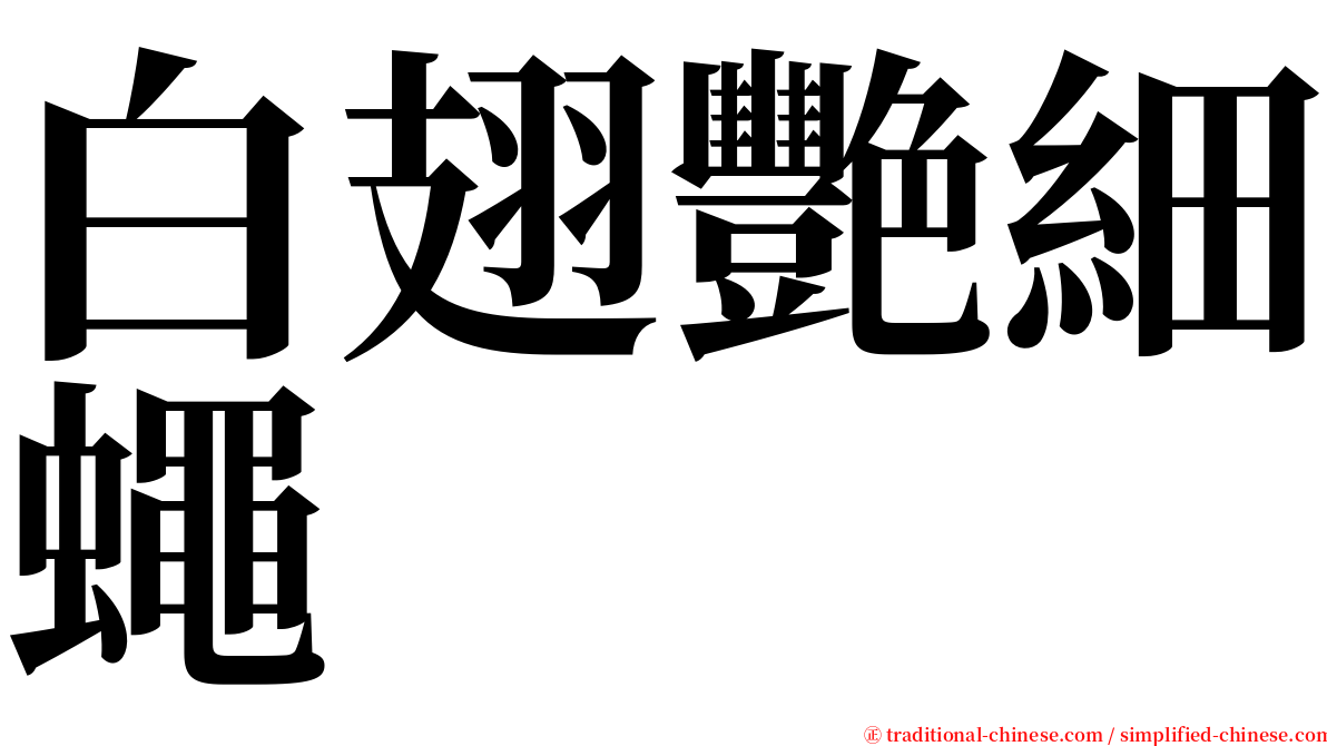 白翅艷細蠅 serif font