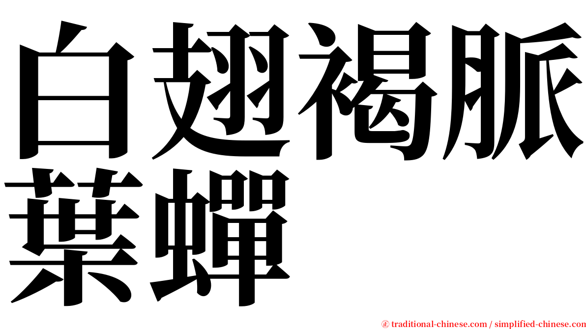 白翅褐脈葉蟬 serif font