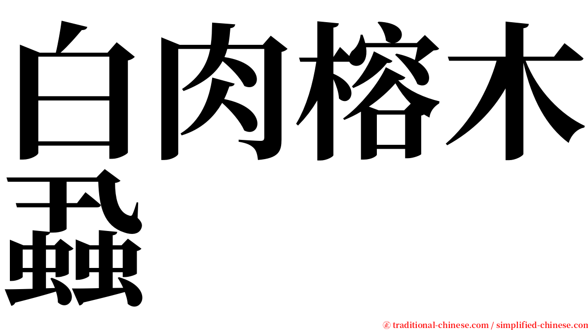 白肉榕木蝨 serif font