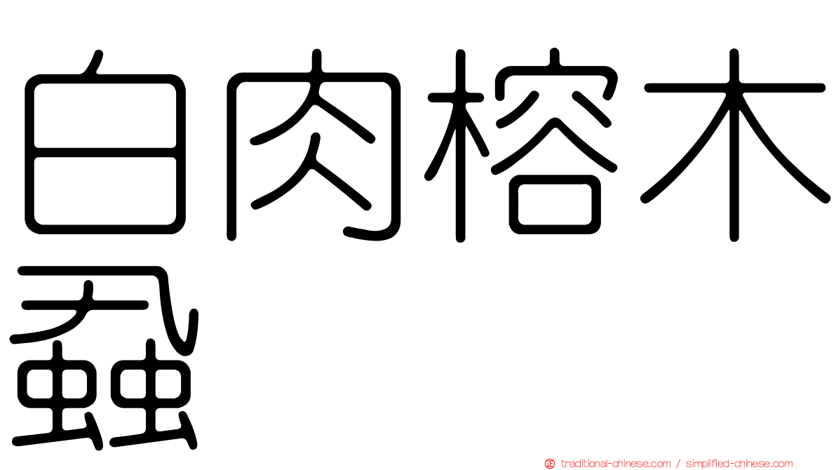 白肉榕木蝨