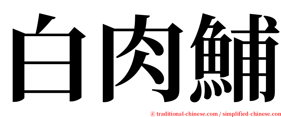 白肉鯆 serif font