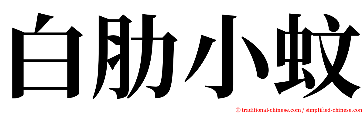 白肋小蚊 serif font