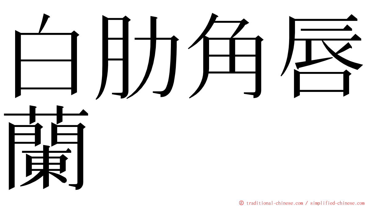 白肋角唇蘭 ming font