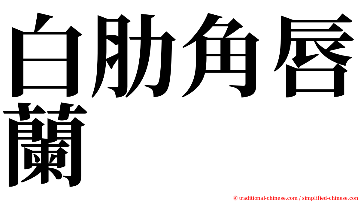 白肋角唇蘭 serif font