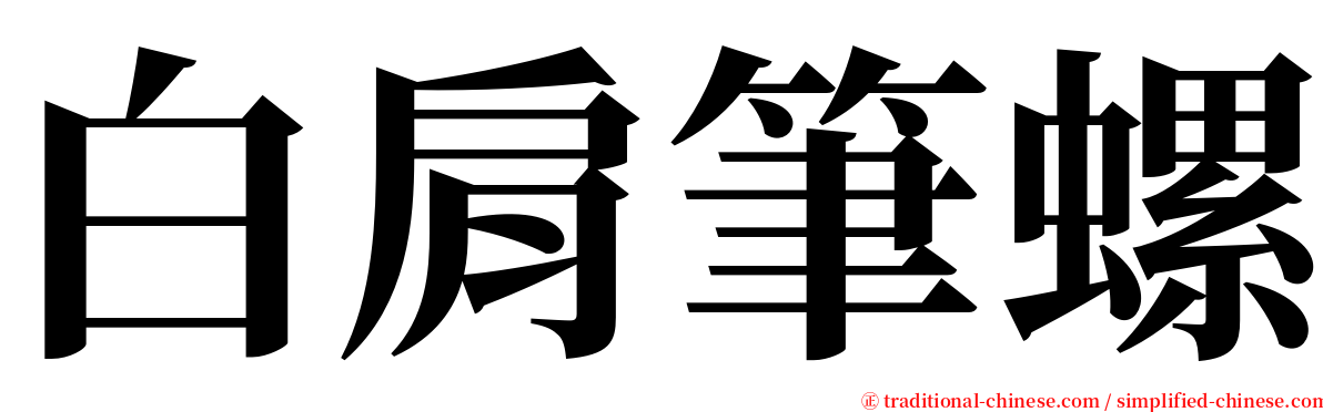 白肩筆螺 serif font