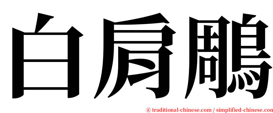 白肩鵰 serif font