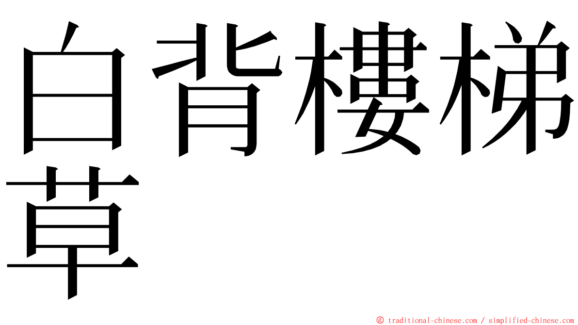 白背樓梯草 ming font