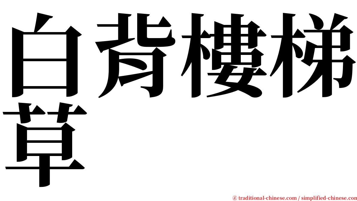 白背樓梯草 serif font