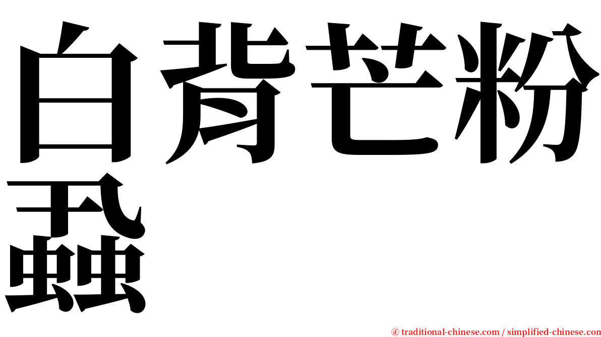 白背芒粉蝨 serif font