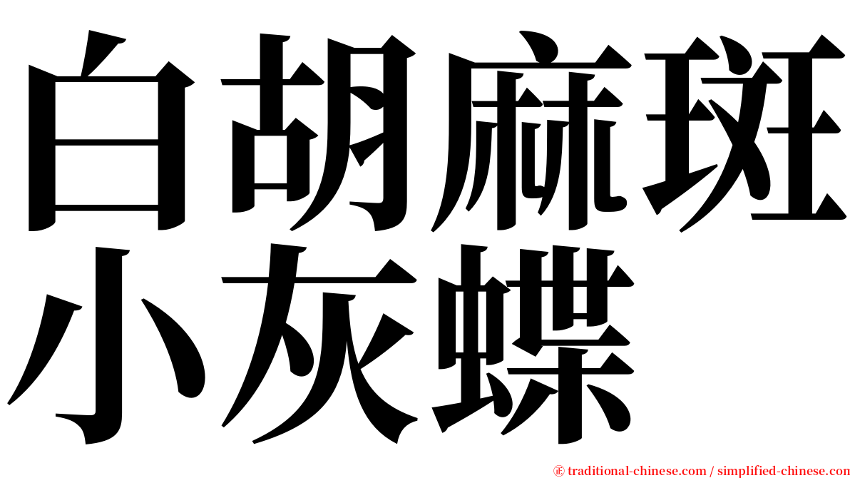 白胡麻斑小灰蝶 serif font