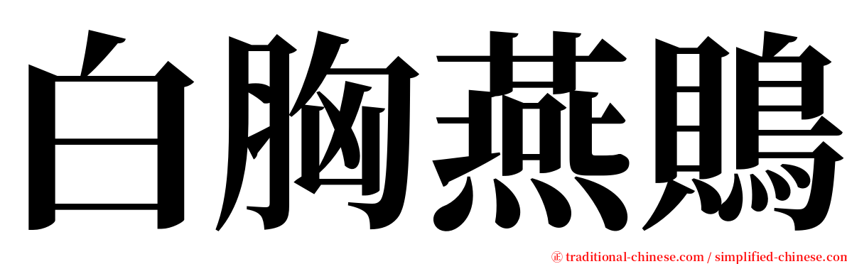 白胸燕鵙 serif font