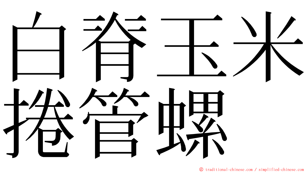 白脊玉米捲管螺 ming font