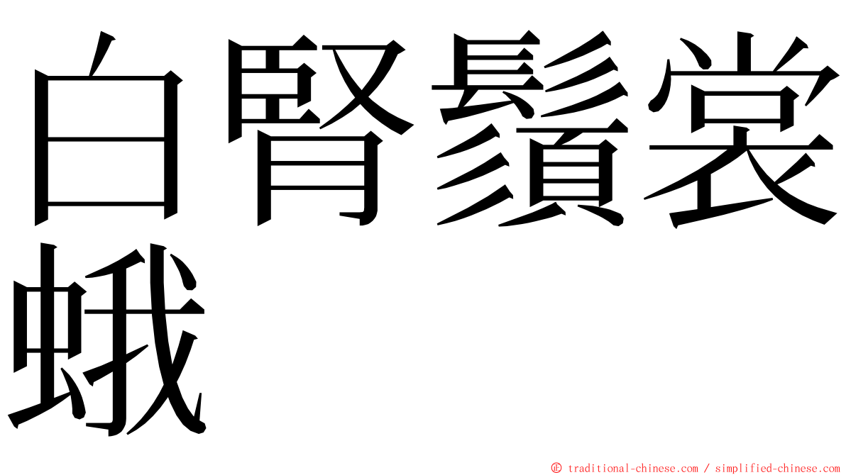 白腎鬚裳蛾 ming font