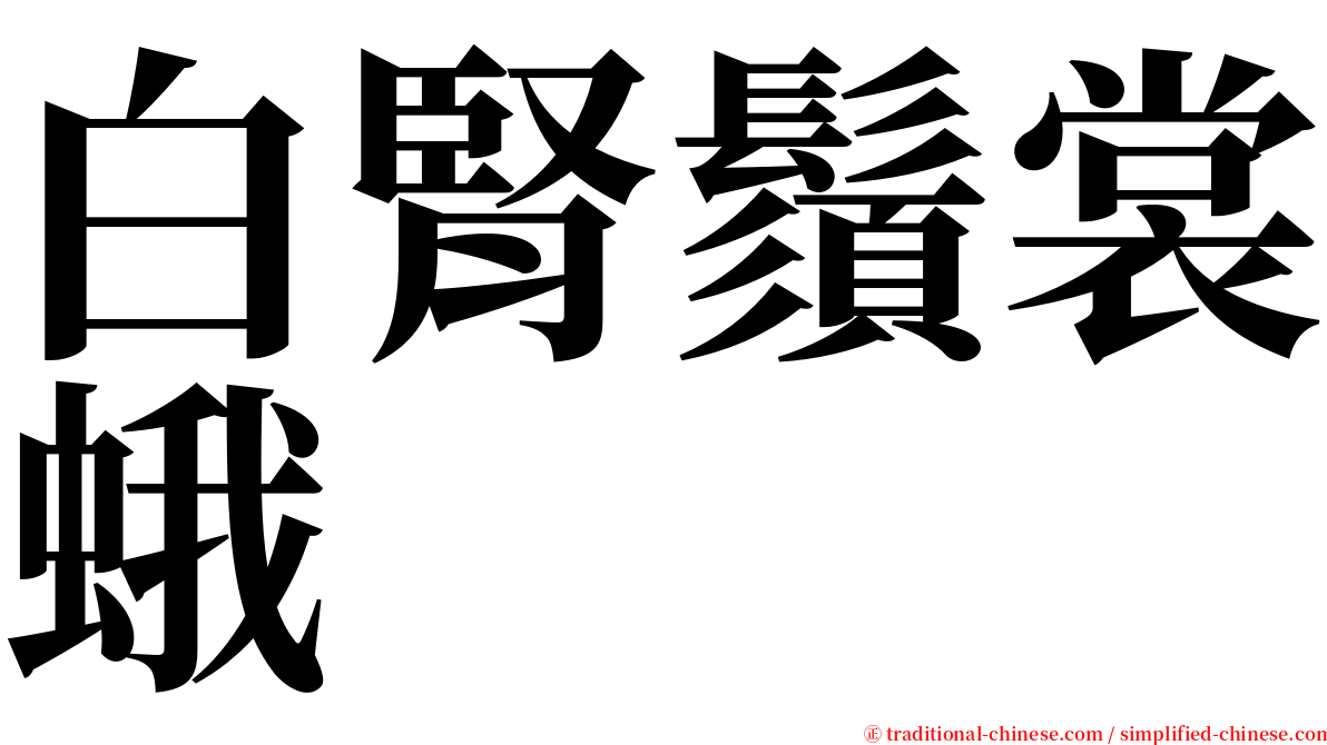 白腎鬚裳蛾 serif font