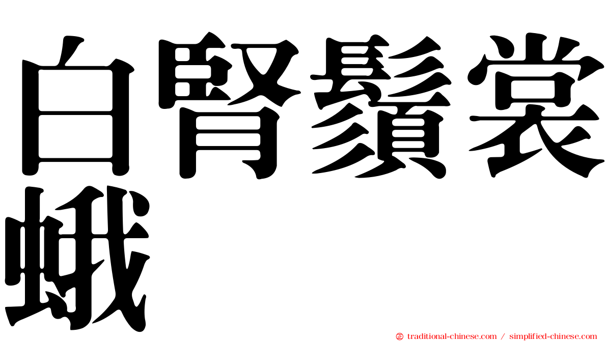 白腎鬚裳蛾