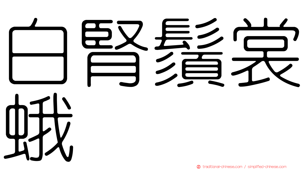 白腎鬚裳蛾