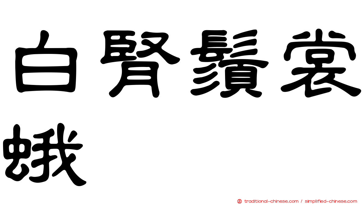白腎鬚裳蛾