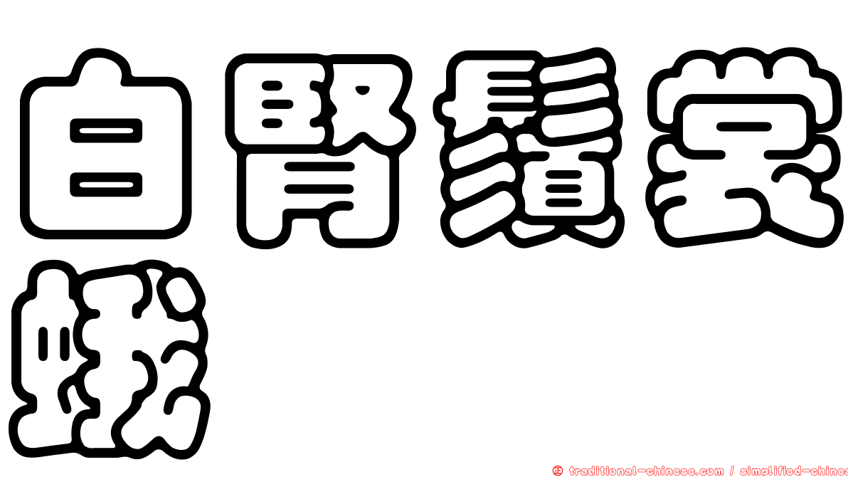 白腎鬚裳蛾