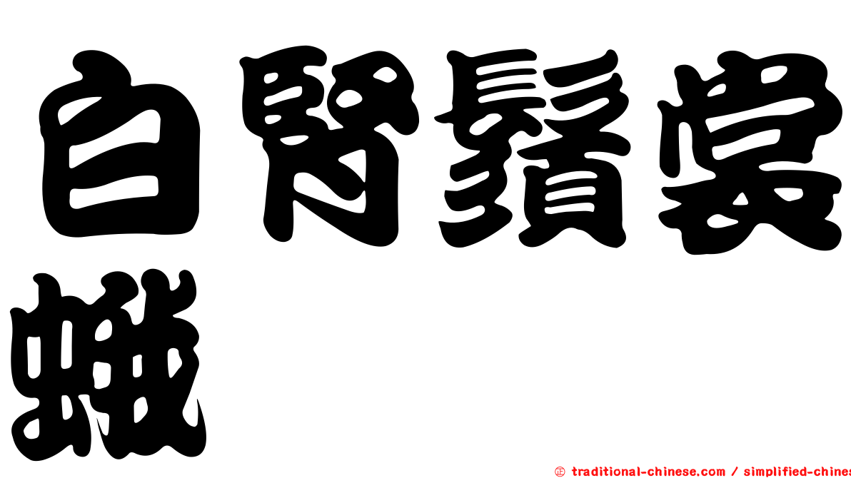 白腎鬚裳蛾