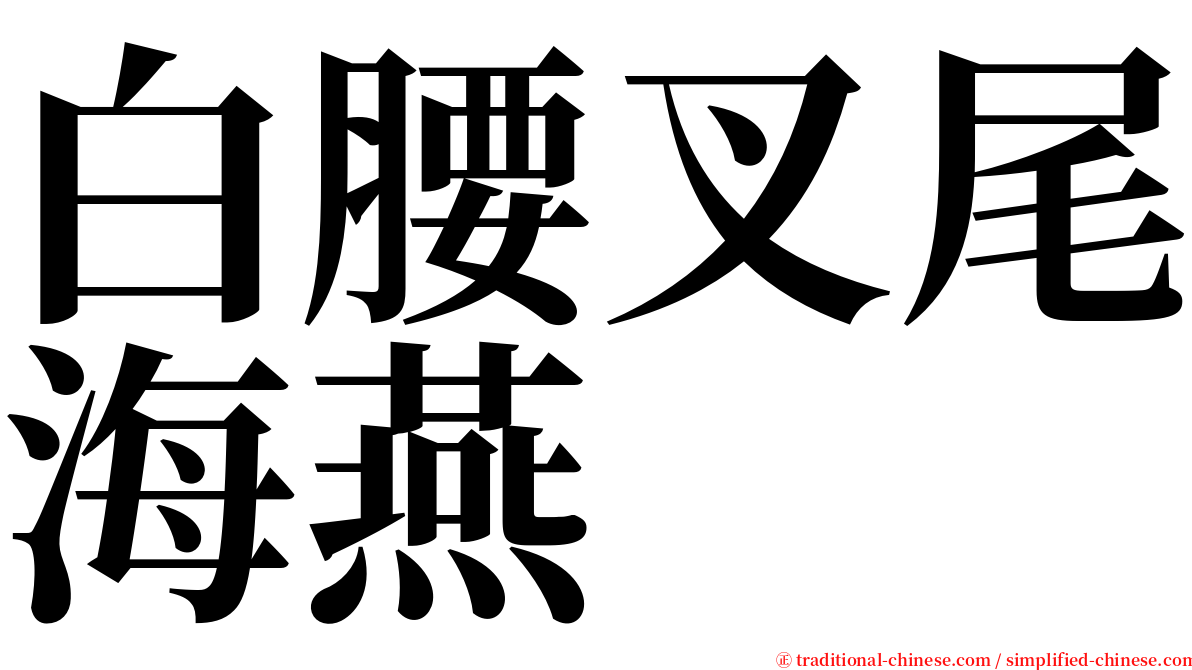 白腰叉尾海燕 serif font