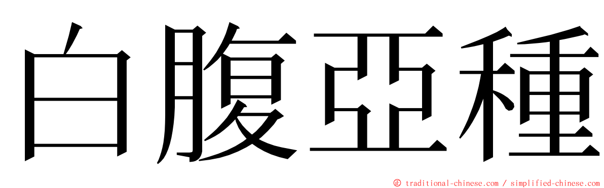 白腹亞種 ming font