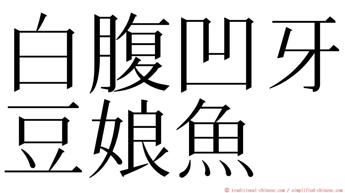 白腹凹牙豆娘魚 ming font