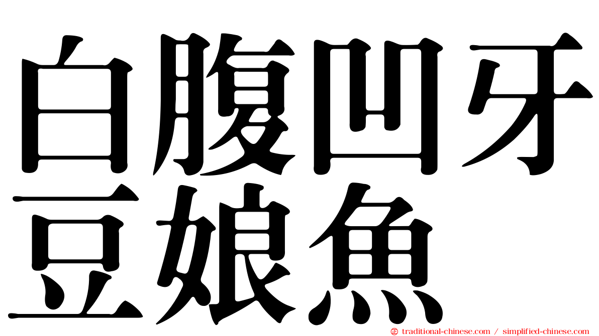 白腹凹牙豆娘魚