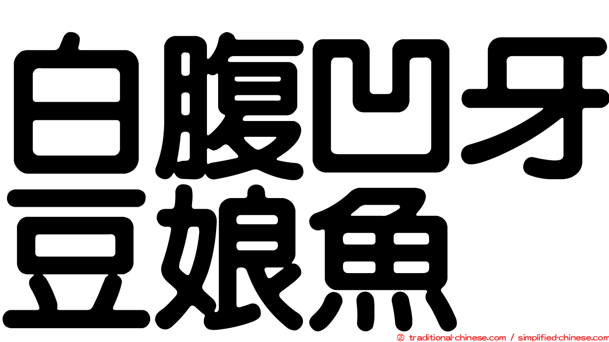 白腹凹牙豆娘魚