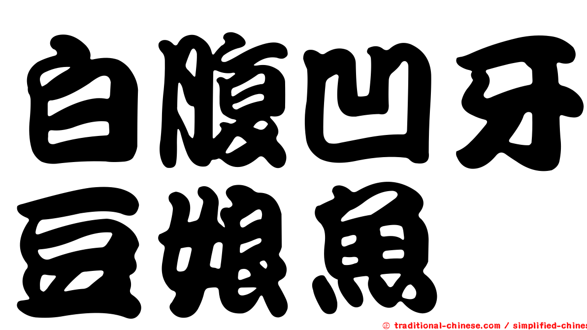 白腹凹牙豆娘魚