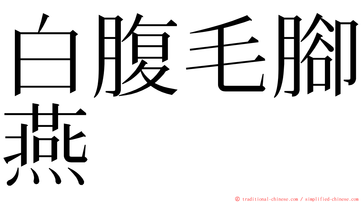 白腹毛腳燕 ming font